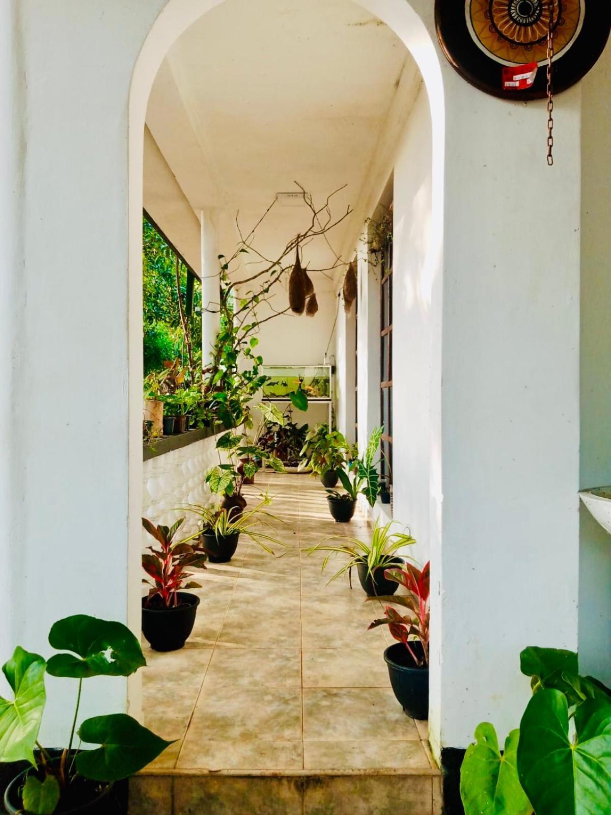 Abhaya Resorts Anuradhapura Buitenkant foto